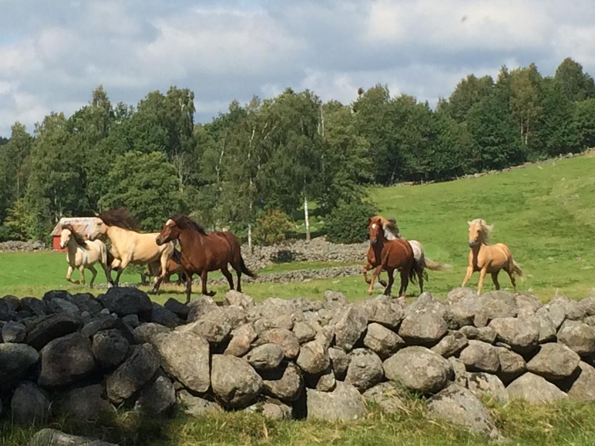 Tuvagård B&B Vindhästar Langas Exteriör bild
