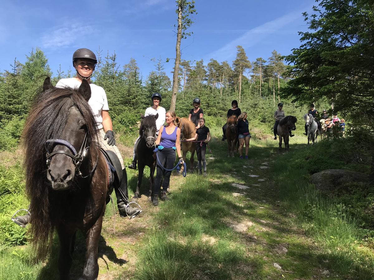 Tuvagård B&B Vindhästar Langas Exteriör bild